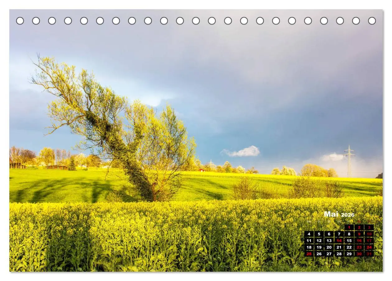 Bild: 9783457922040 | Rund um den Schönbuch (Tischkalender 2026 DIN A5 quer), CALVENDO...