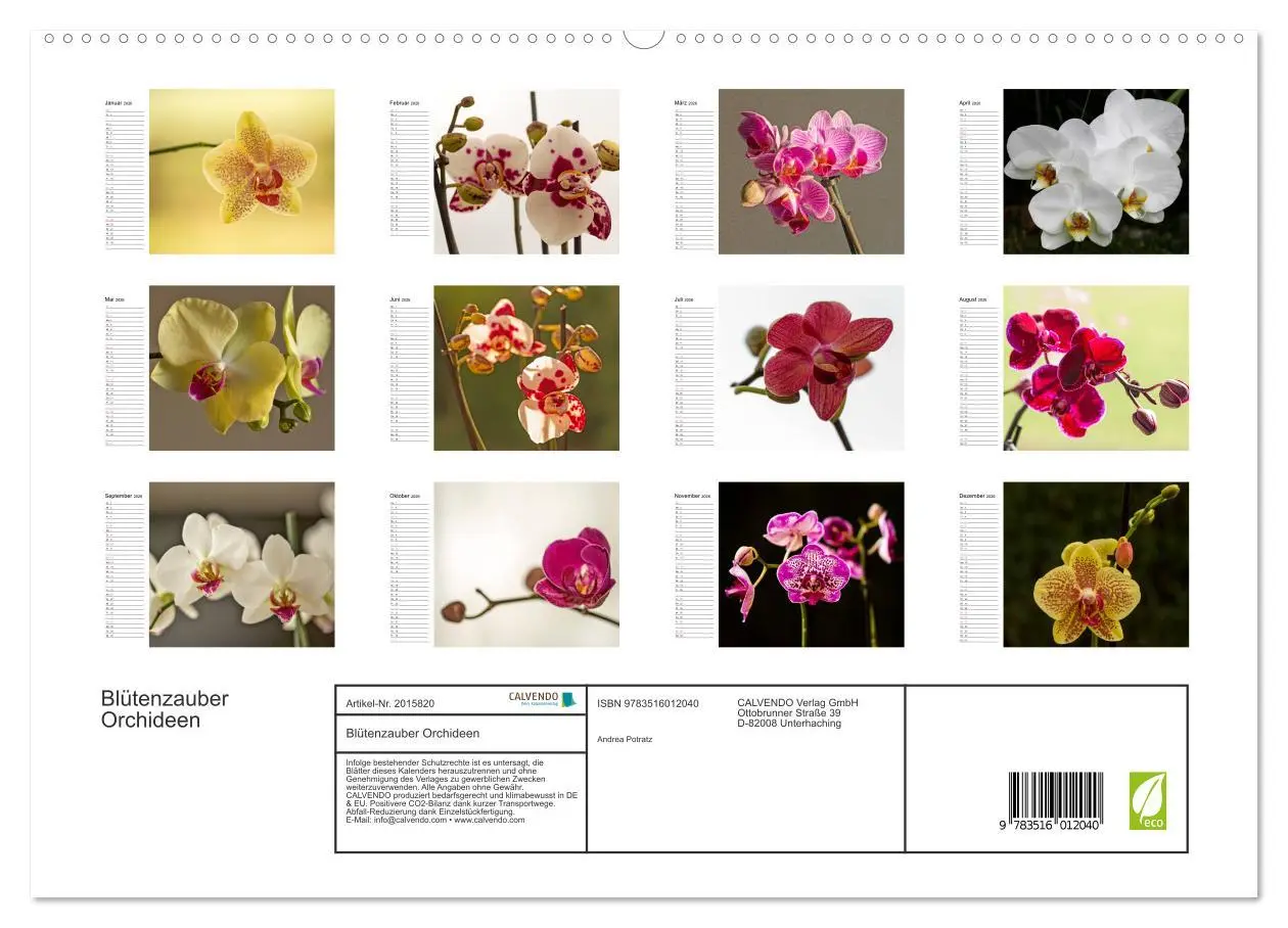 Bild: 9783516012040 | Blütenzauber Orchideen (hochwertiger Premium Wandkalender 2026 DIN...
