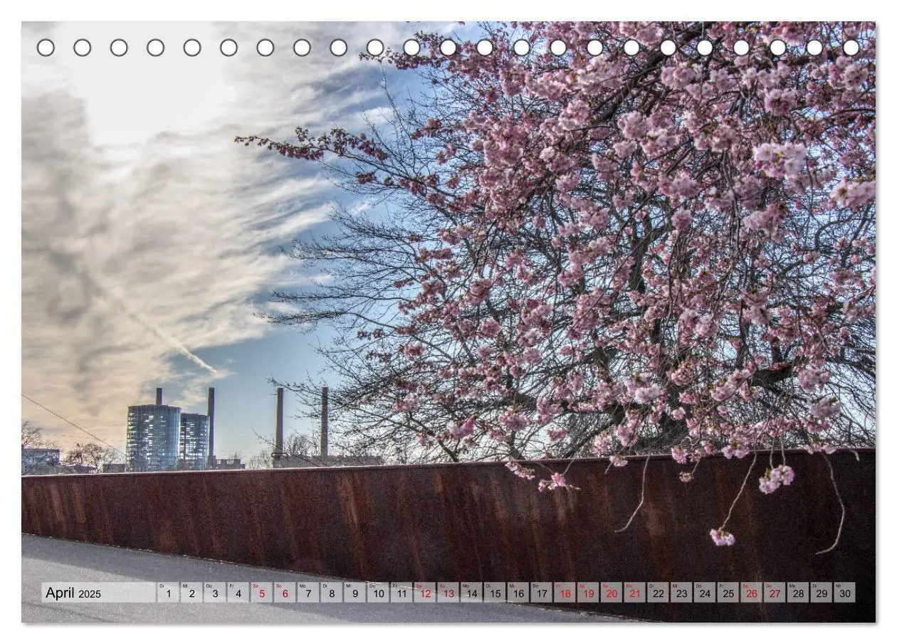 Bild: 9783435132140 | Wolfsburg - mehr als graue Industrie. (Tischkalender 2025 DIN A5...