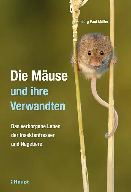 Cover: 9783258082240 | Die Mäuse und ihre Verwandten | Jürg Paul Müller | Buch | 192 S.