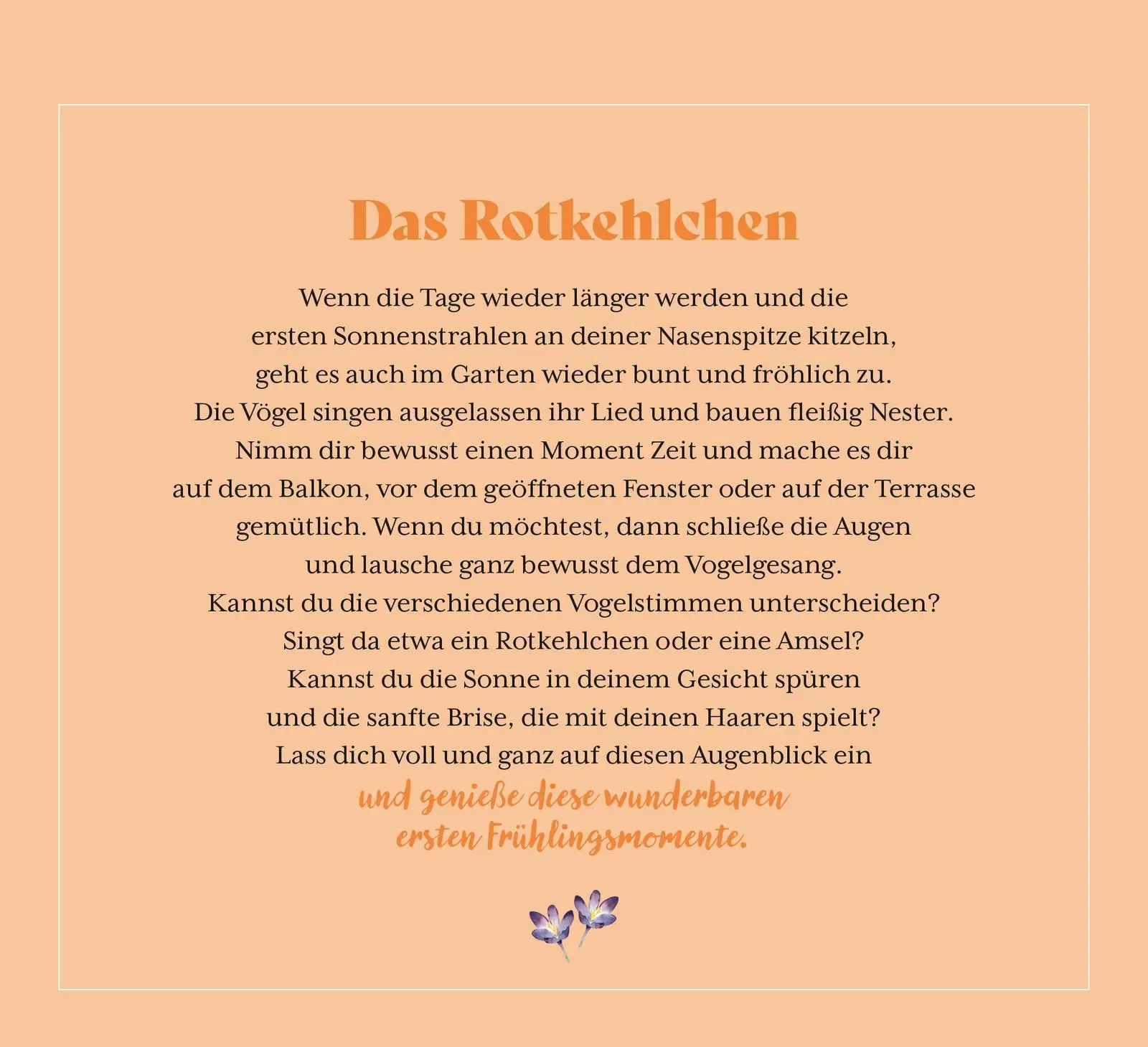Bild: 9783848502240 | Kleine Wunder in meinem Garten | Groh Verlag | Taschenbuch | 144 S.