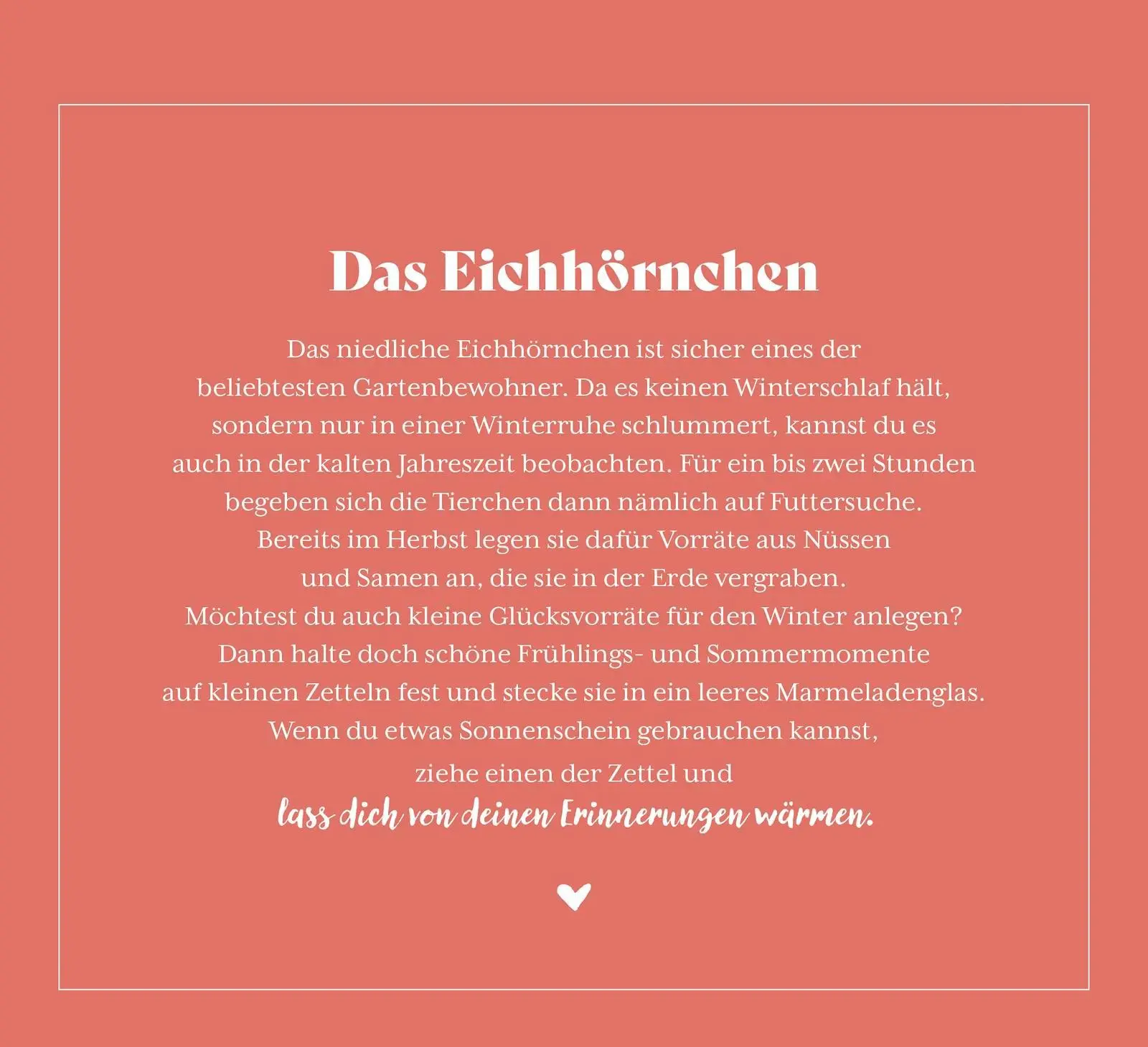 Bild: 9783848502240 | Kleine Wunder in meinem Garten | Groh Verlag | Taschenbuch | 144 S.