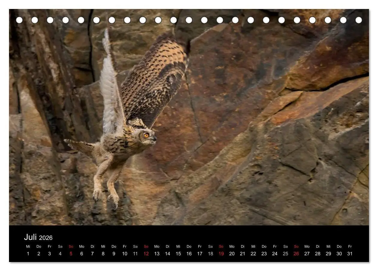 Bild: 9783516152340 | Uhu - König der Nacht (Tischkalender 2026 DIN A5 quer), CALVENDO...