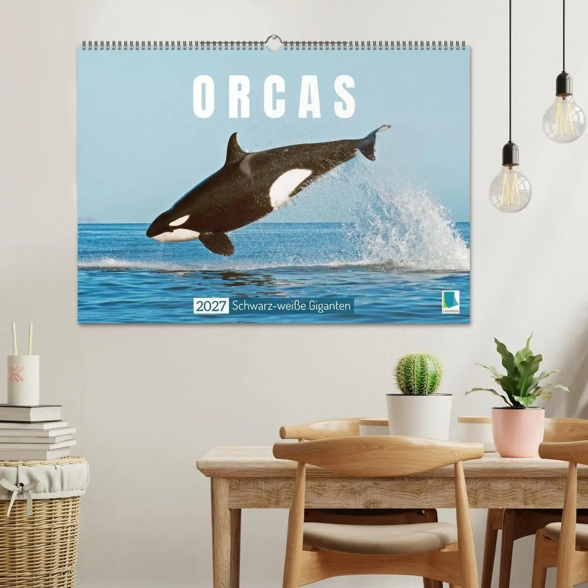 Bild: 9783569242340 | Orcas: Schwarz-weiße Giganten (Wandkalender 2027 DIN A2 quer),...
