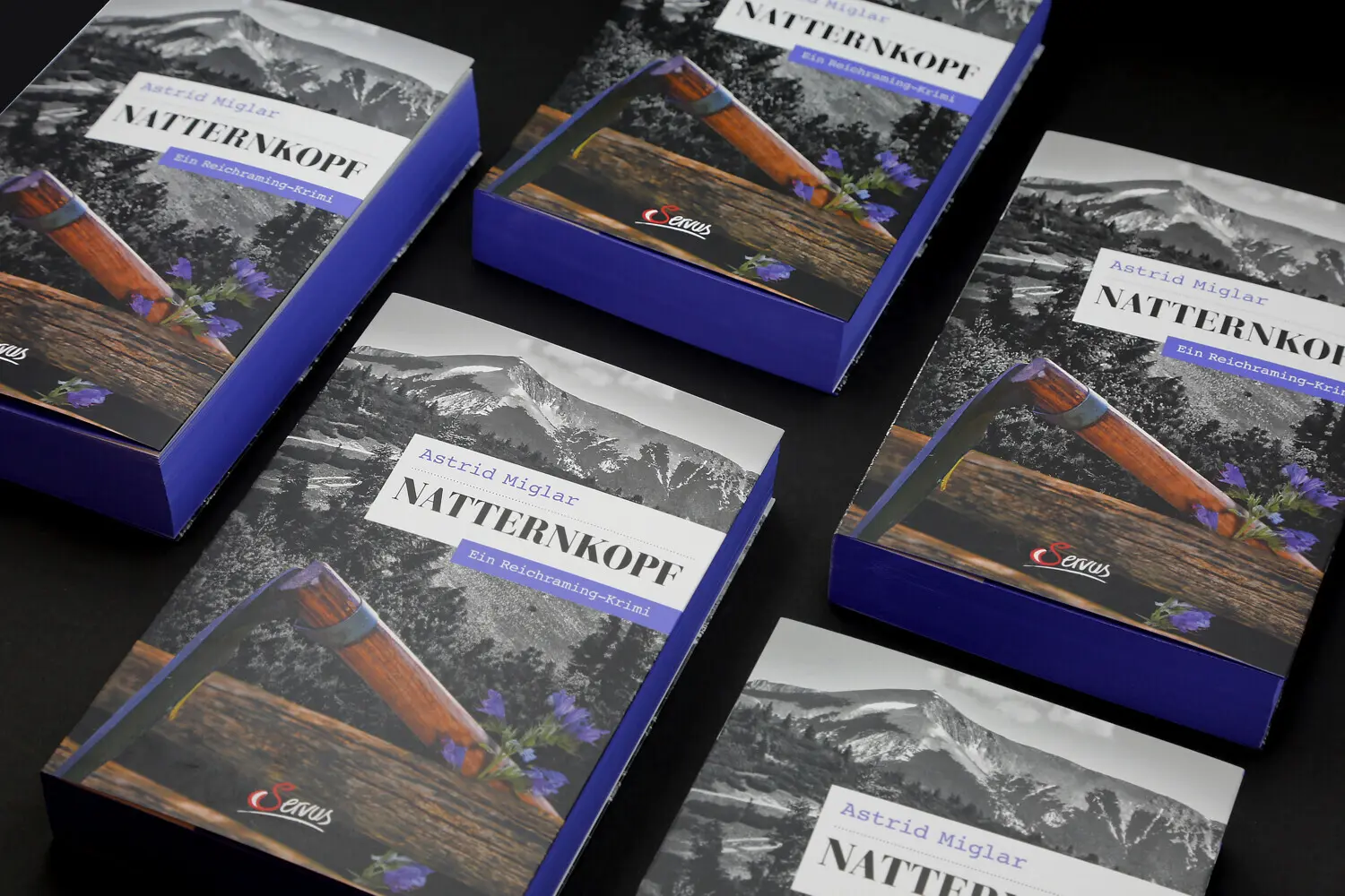 Bild: 9783710402340 | Natternkopf | Ein Reichraming-Krimi | Astrid Miglar | Taschenbuch