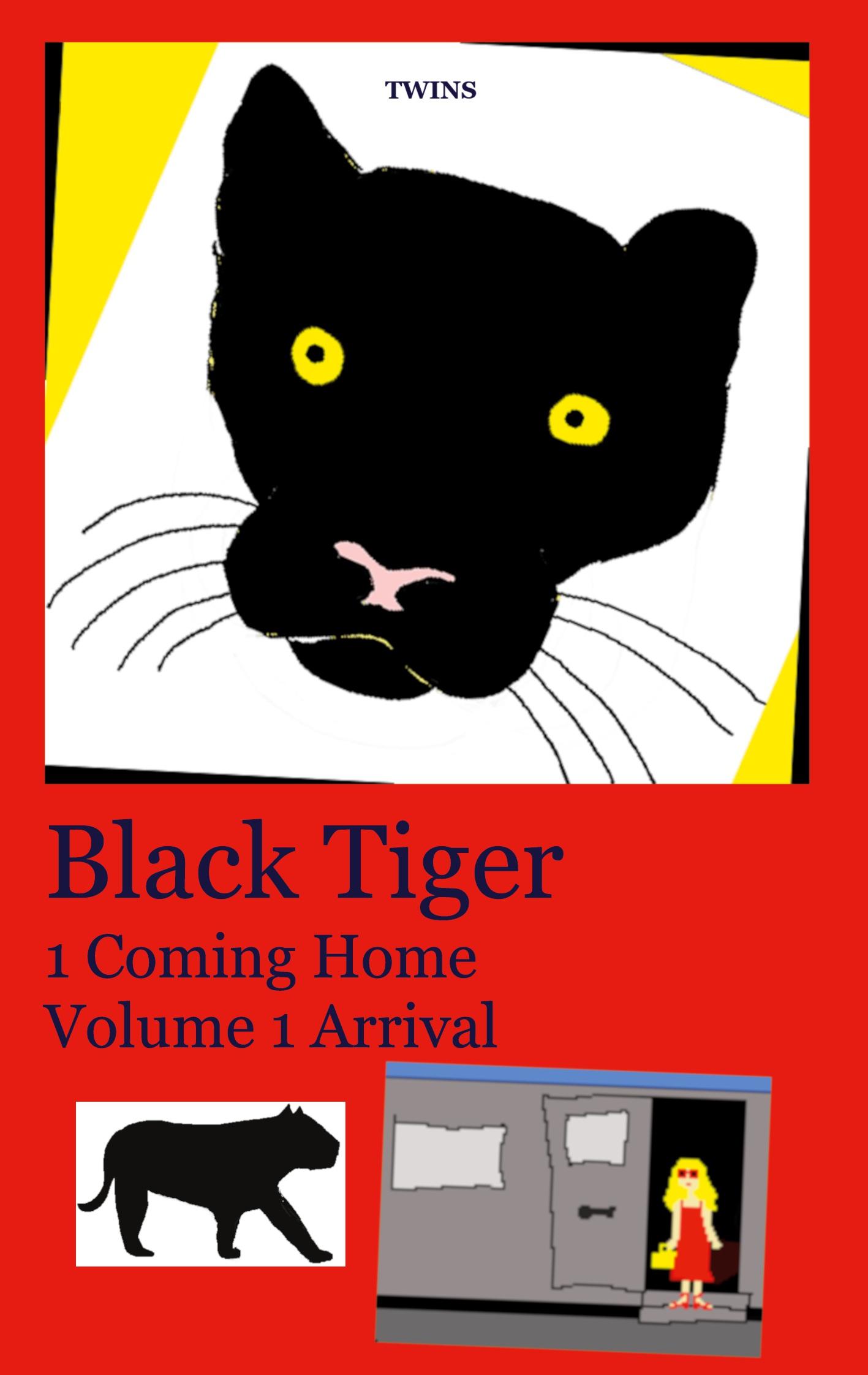 Cover: 9783759702340 | Black Tiger 1 Coming Home | Volume 1 Arrival | Twins | Taschenbuch