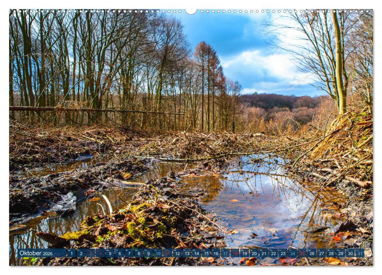 Bild: 9783457432440 | Unser Wald Stirbt (hochwertiger Premium Wandkalender 2026 DIN A2...