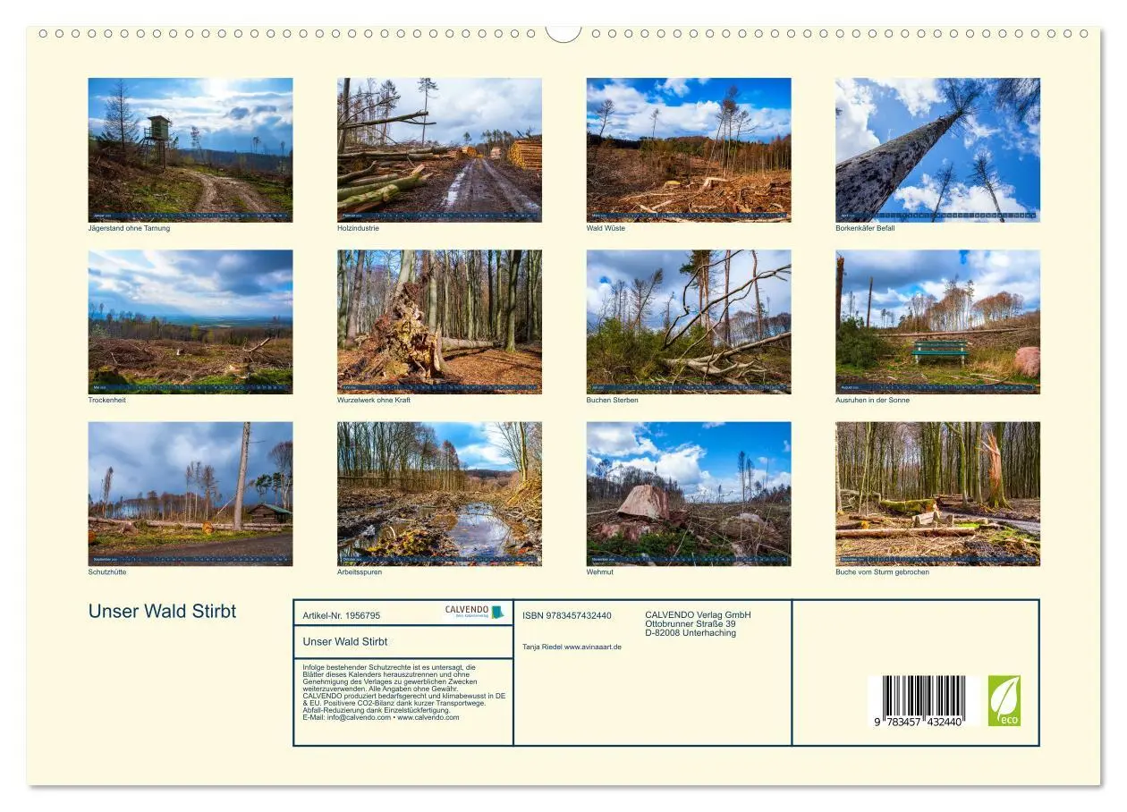 Bild: 9783457432440 | Unser Wald Stirbt (hochwertiger Premium Wandkalender 2026 DIN A2...