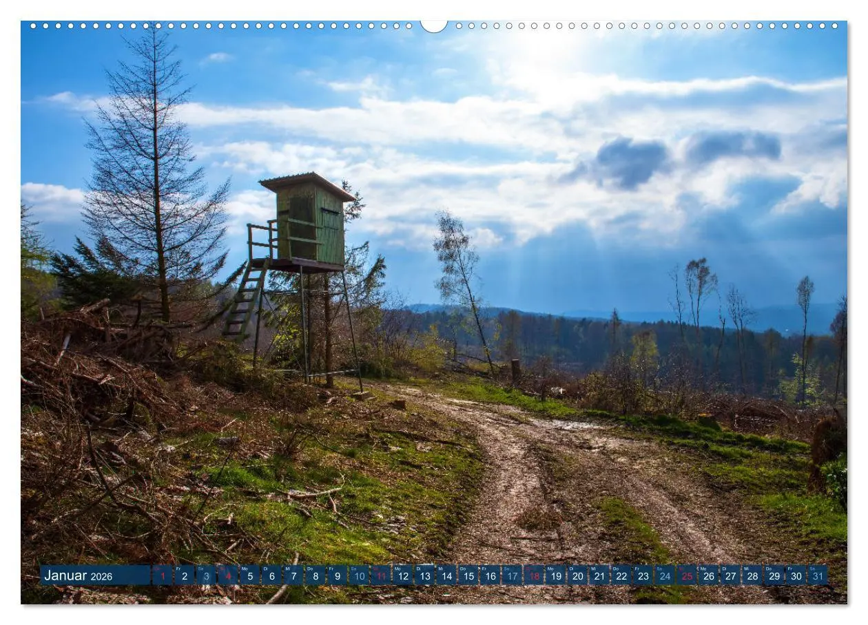 Bild: 9783457432440 | Unser Wald Stirbt (hochwertiger Premium Wandkalender 2026 DIN A2...