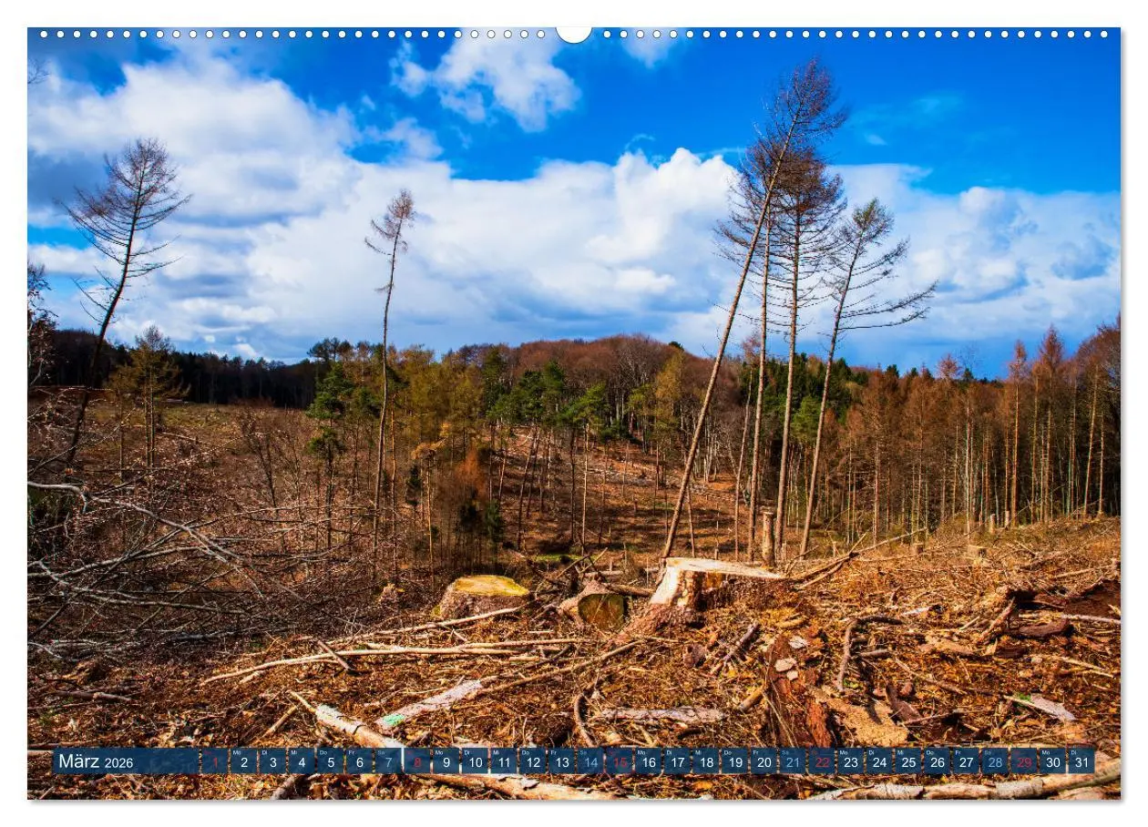 Bild: 9783457432440 | Unser Wald Stirbt (hochwertiger Premium Wandkalender 2026 DIN A2...