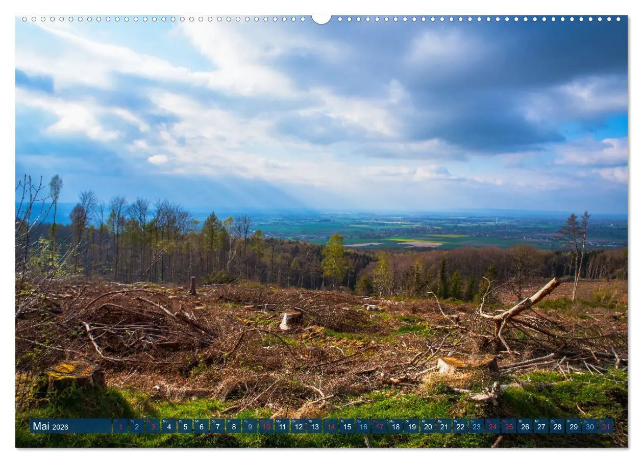 Bild: 9783457432440 | Unser Wald Stirbt (hochwertiger Premium Wandkalender 2026 DIN A2...