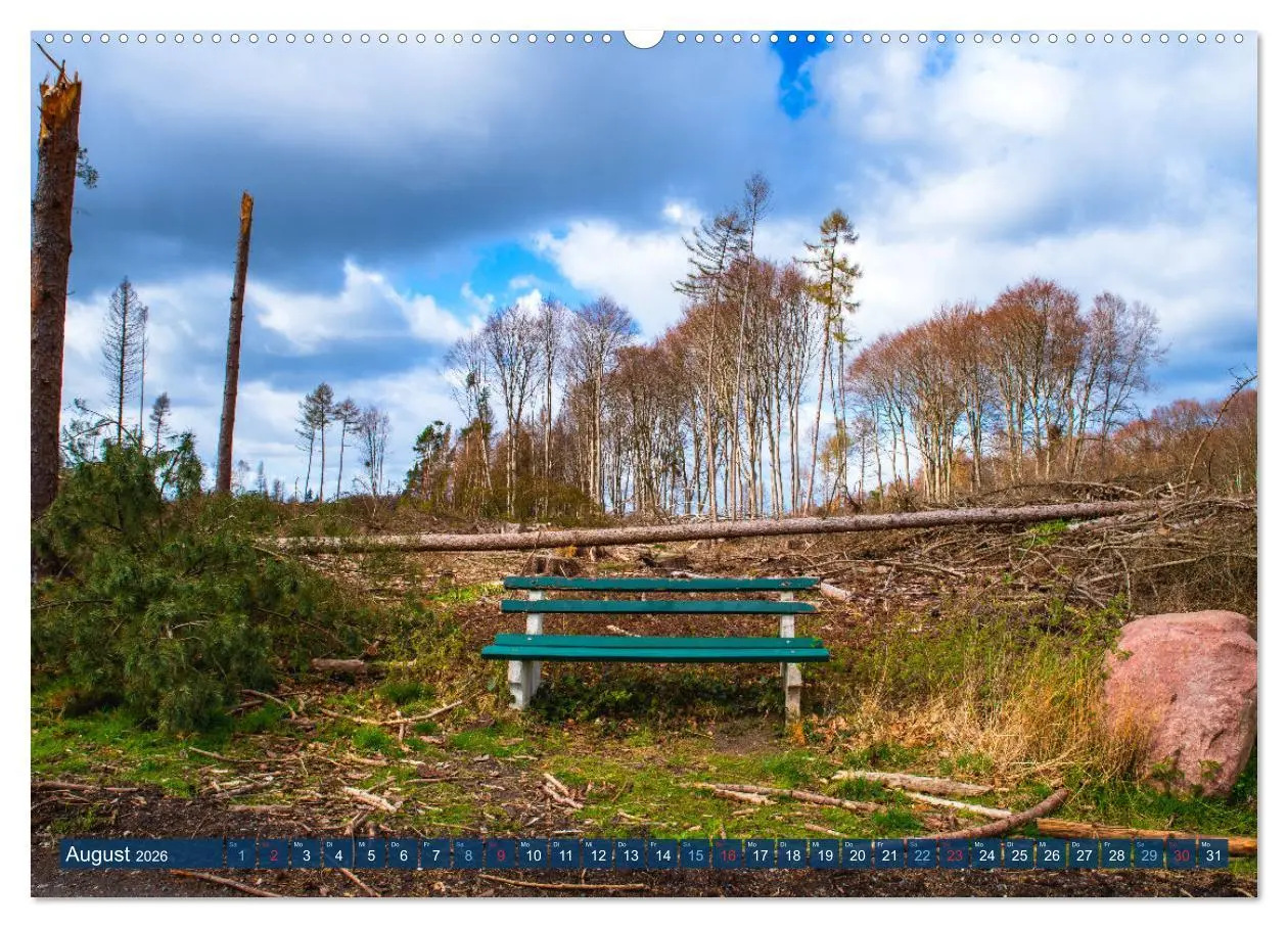 Bild: 9783457432440 | Unser Wald Stirbt (hochwertiger Premium Wandkalender 2026 DIN A2...