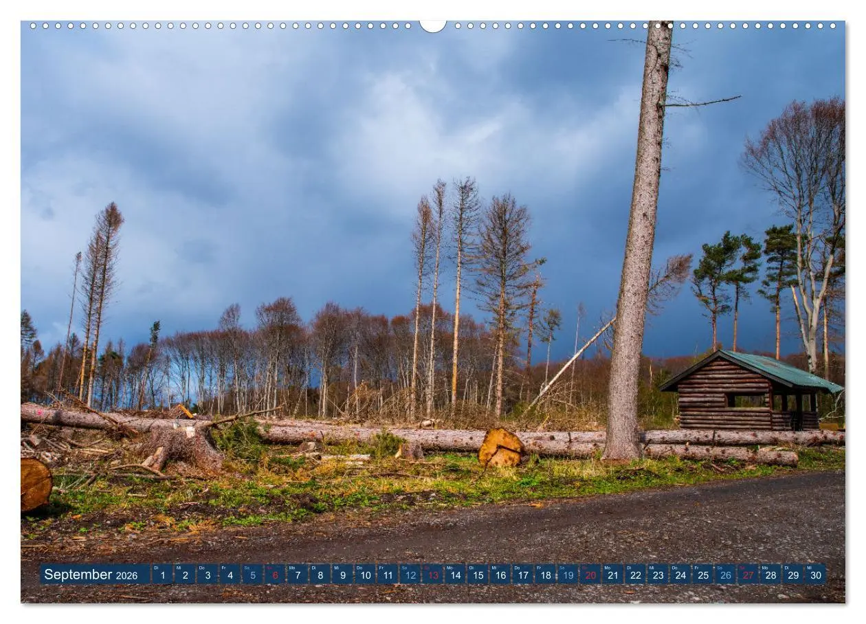 Bild: 9783457432440 | Unser Wald Stirbt (hochwertiger Premium Wandkalender 2026 DIN A2...