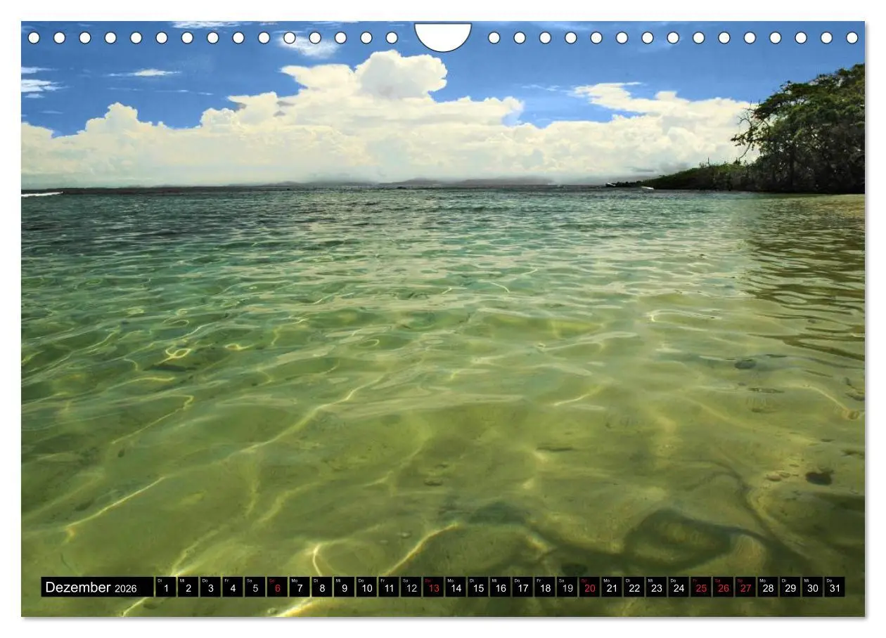 Bild: 9783457982440 | Faszination Venezuela (Wandkalender 2026 DIN A4 quer), CALVENDO...