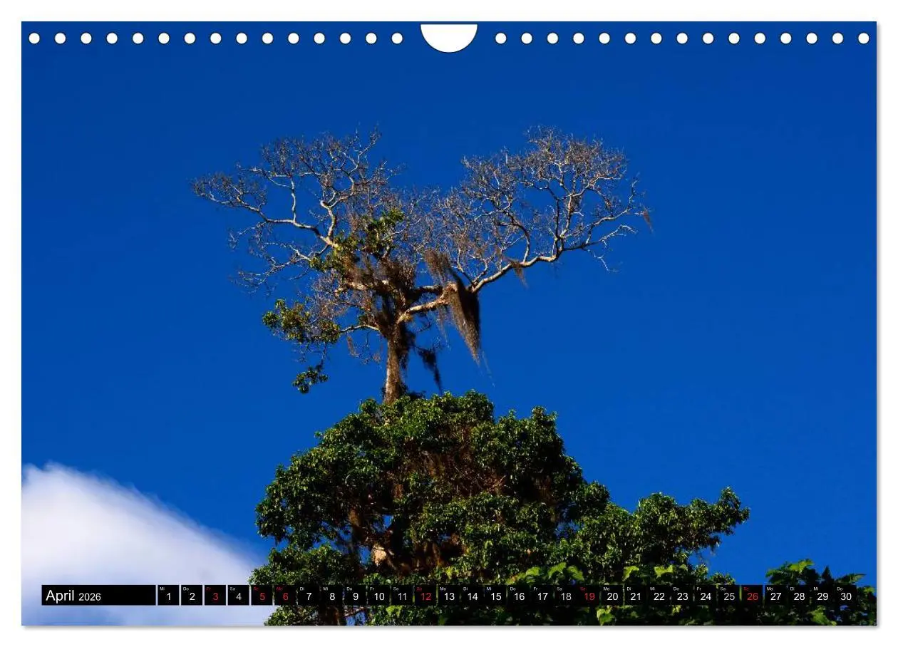 Bild: 9783457982440 | Faszination Venezuela (Wandkalender 2026 DIN A4 quer), CALVENDO...