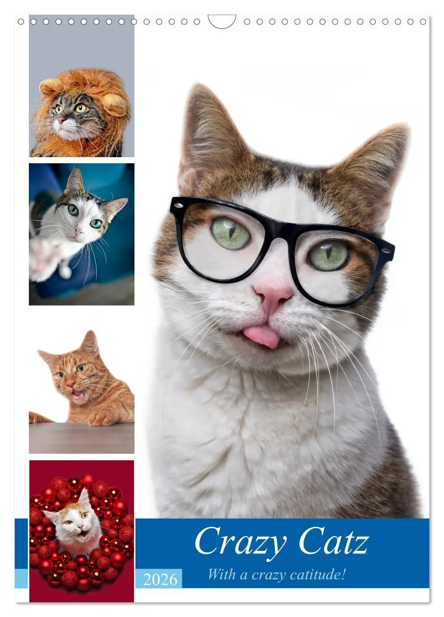 Cover: 9783516382440 | Crazy Catz. (Wandkalender 2026 DIN A3 hoch), CALVENDO Monatskalender
