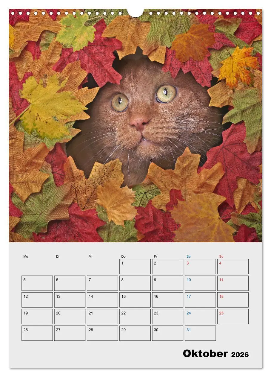 Bild: 9783516382440 | Crazy Catz. (Wandkalender 2026 DIN A3 hoch), CALVENDO Monatskalender