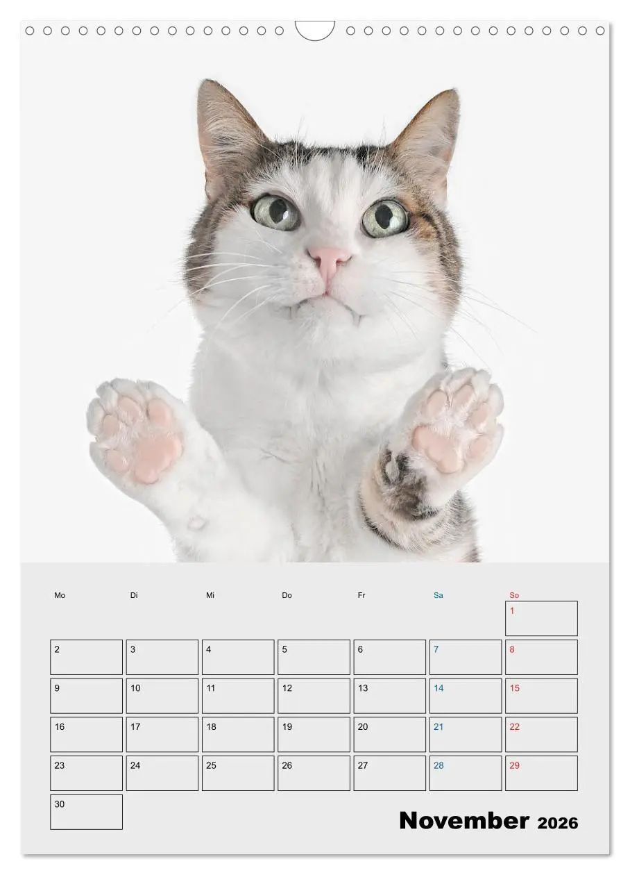 Bild: 9783516382440 | Crazy Catz. (Wandkalender 2026 DIN A3 hoch), CALVENDO Monatskalender