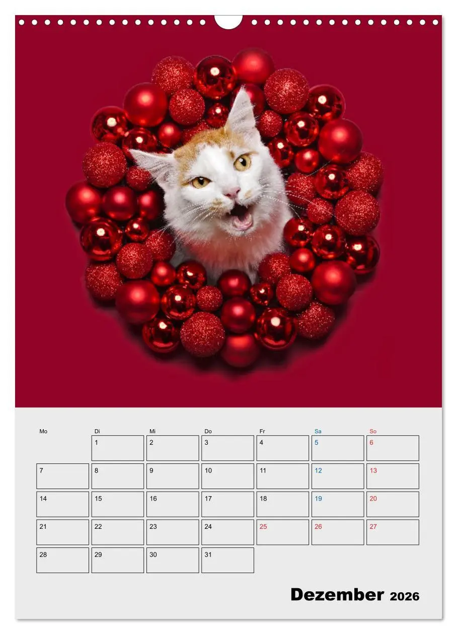Bild: 9783516382440 | Crazy Catz. (Wandkalender 2026 DIN A3 hoch), CALVENDO Monatskalender