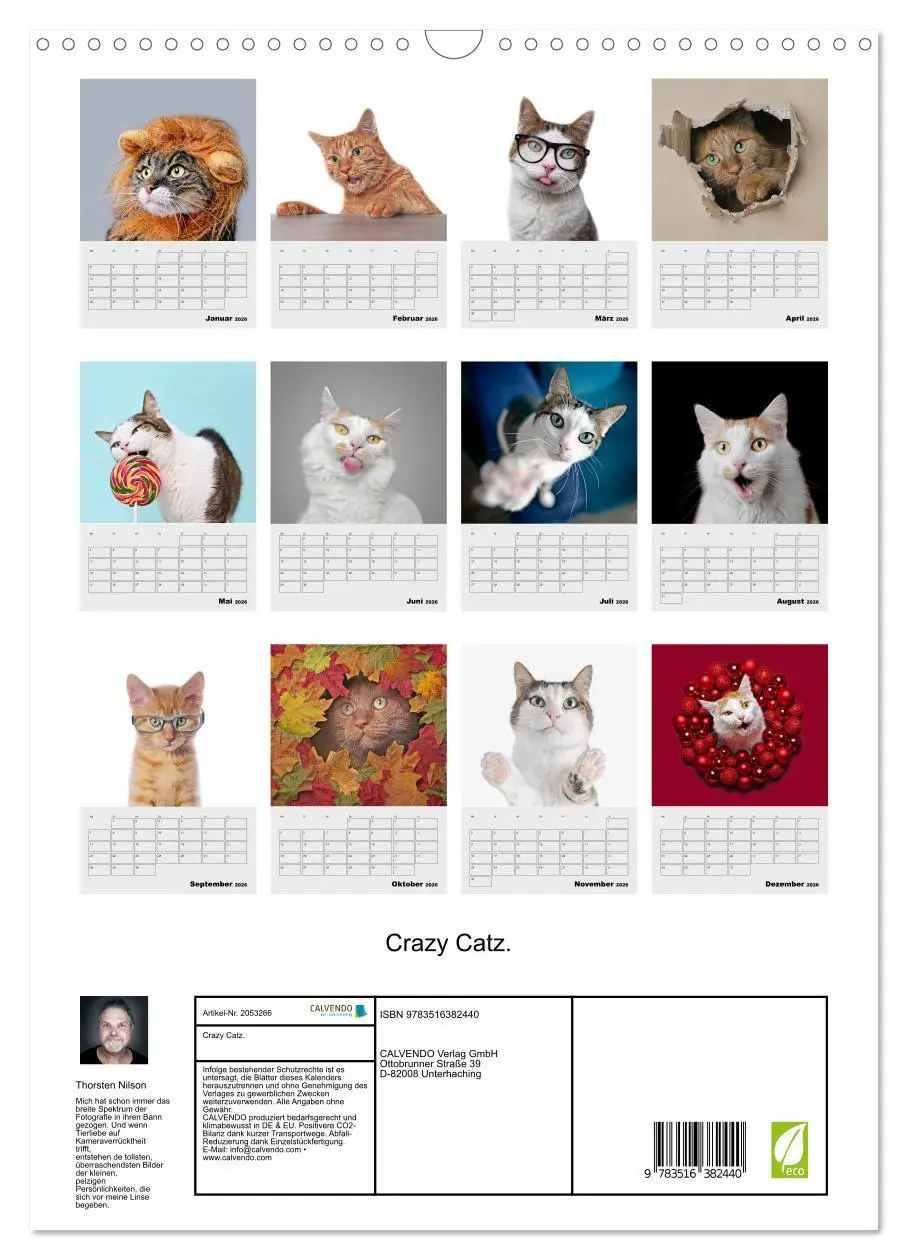 Bild: 9783516382440 | Crazy Catz. (Wandkalender 2026 DIN A3 hoch), CALVENDO Monatskalender