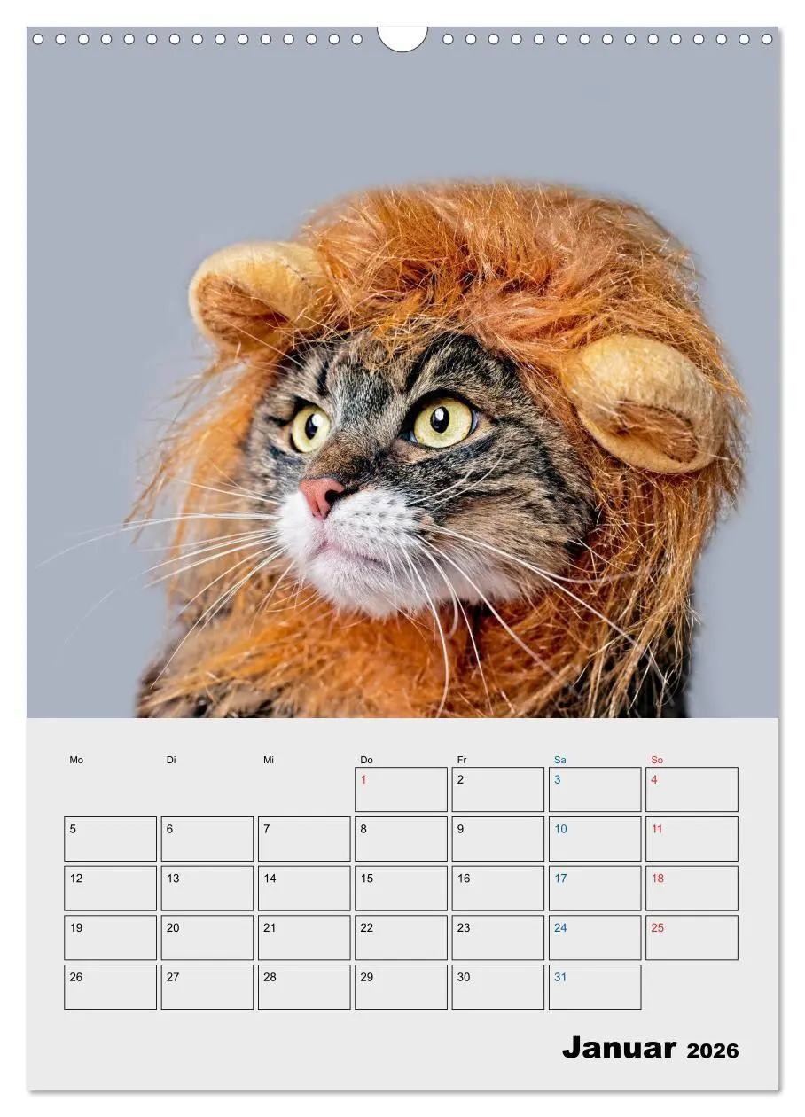 Bild: 9783516382440 | Crazy Catz. (Wandkalender 2026 DIN A3 hoch), CALVENDO Monatskalender