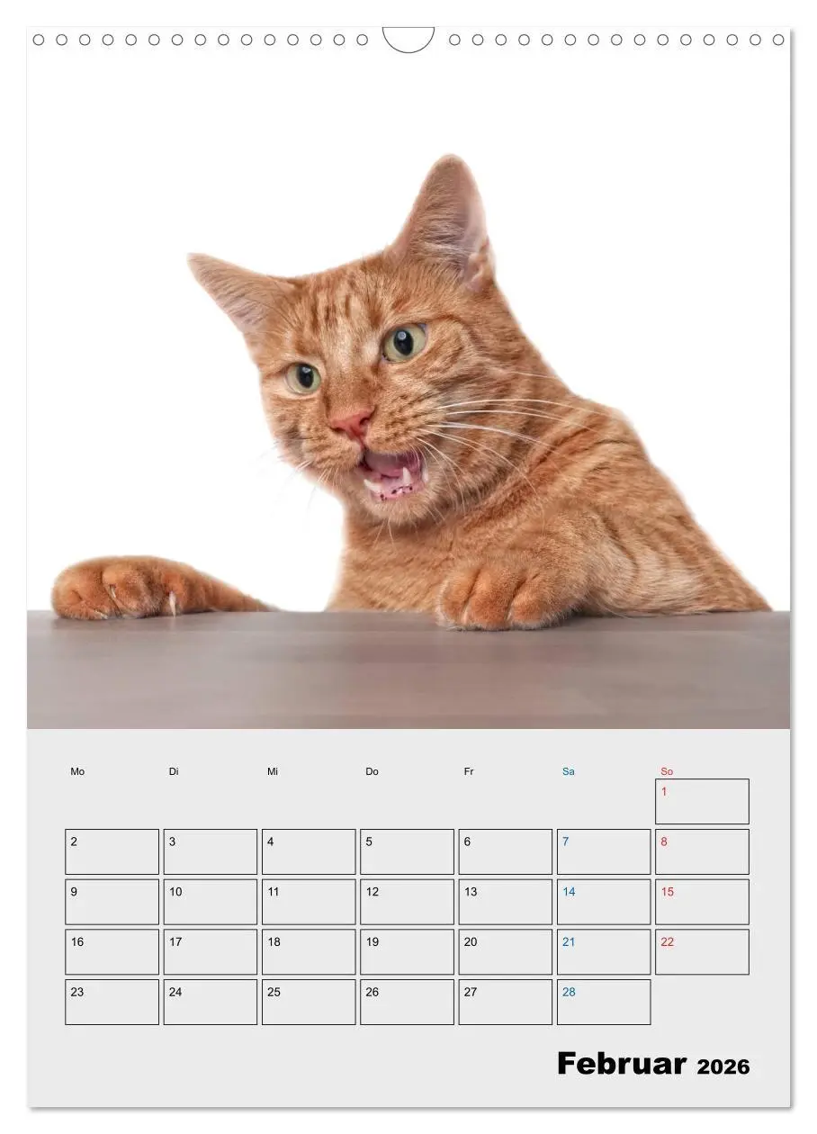 Bild: 9783516382440 | Crazy Catz. (Wandkalender 2026 DIN A3 hoch), CALVENDO Monatskalender