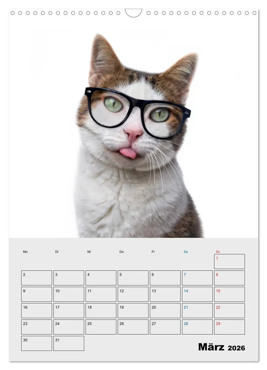 Bild: 9783516382440 | Crazy Catz. (Wandkalender 2026 DIN A3 hoch), CALVENDO Monatskalender