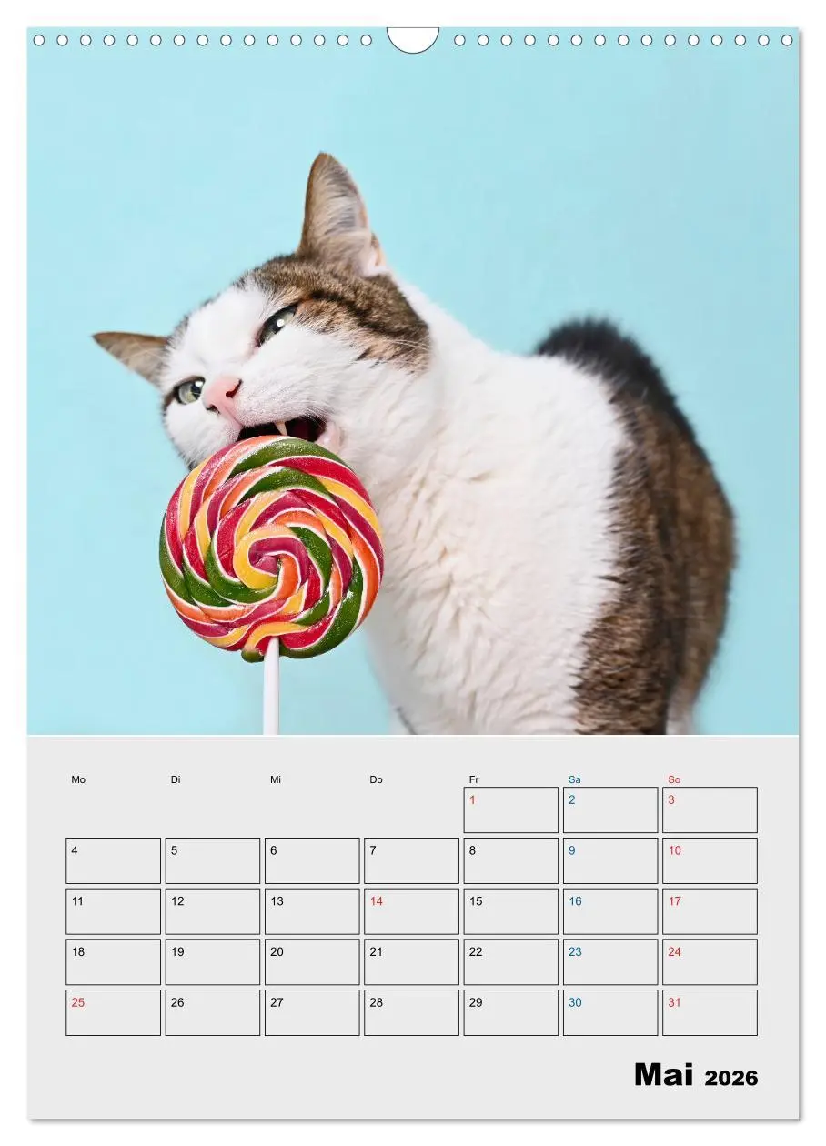 Bild: 9783516382440 | Crazy Catz. (Wandkalender 2026 DIN A3 hoch), CALVENDO Monatskalender