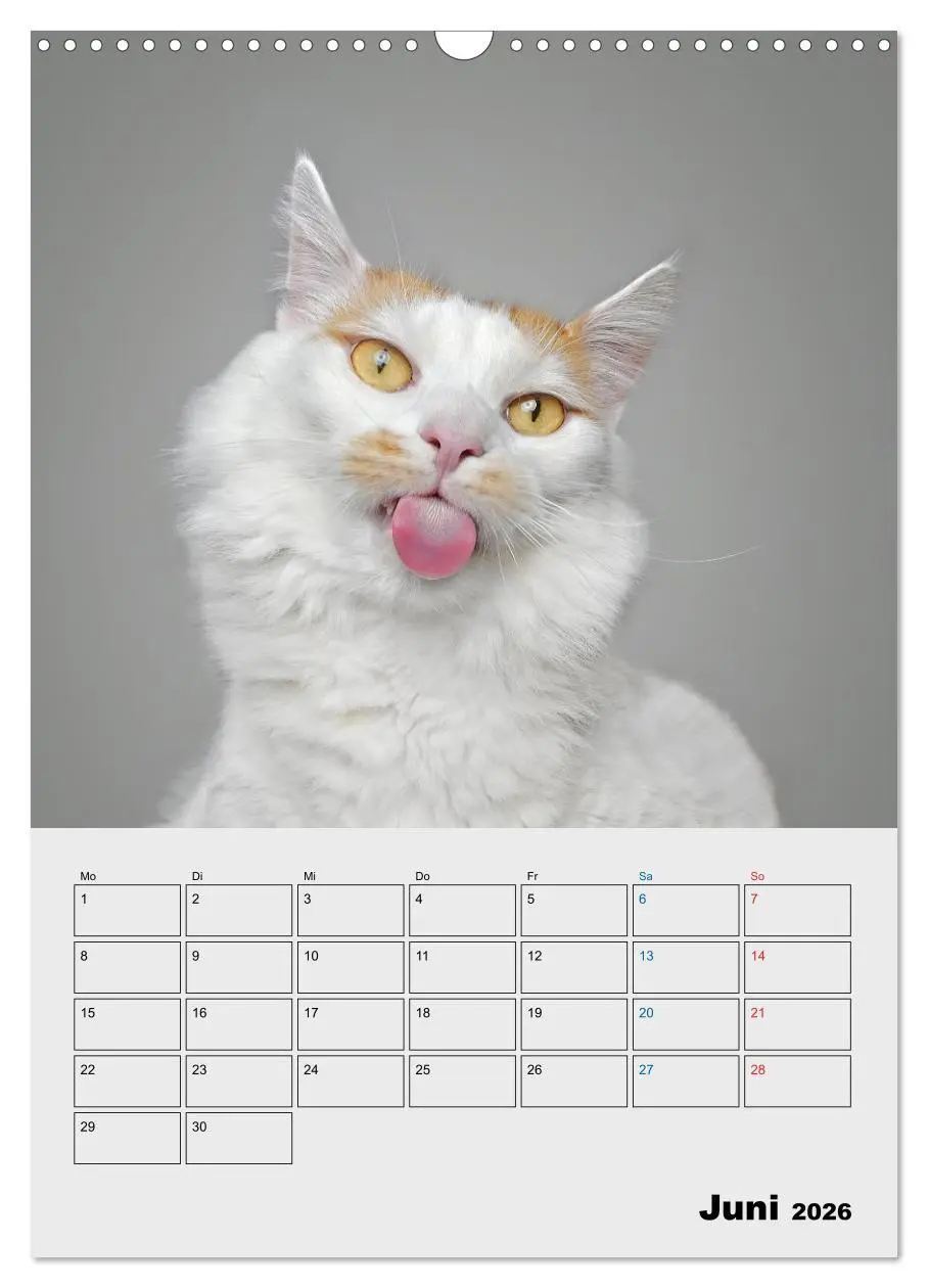 Bild: 9783516382440 | Crazy Catz. (Wandkalender 2026 DIN A3 hoch), CALVENDO Monatskalender