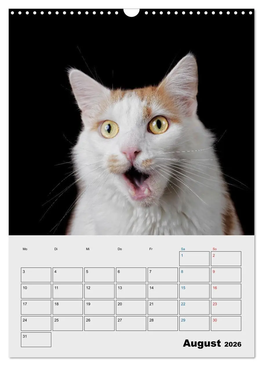 Bild: 9783516382440 | Crazy Catz. (Wandkalender 2026 DIN A3 hoch), CALVENDO Monatskalender