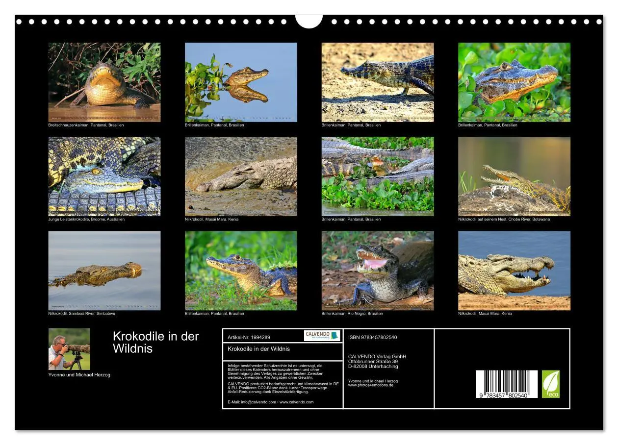 Bild: 9783457802540 | Krokodile in der Wildnis (Wandkalender 2026 DIN A3 quer), CALVENDO...