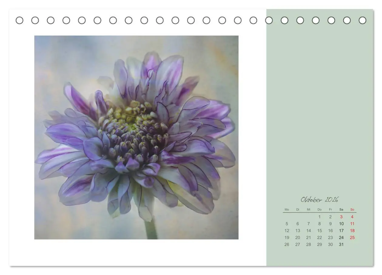 Bild: 9783516202540 | Blütenträume (Tischkalender 2026 DIN A5 quer), CALVENDO Monatskalender