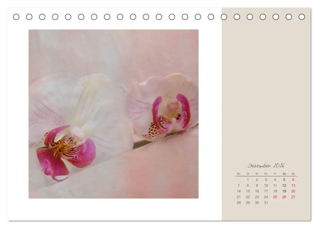 Bild: 9783516202540 | Blütenträume (Tischkalender 2026 DIN A5 quer), CALVENDO Monatskalender
