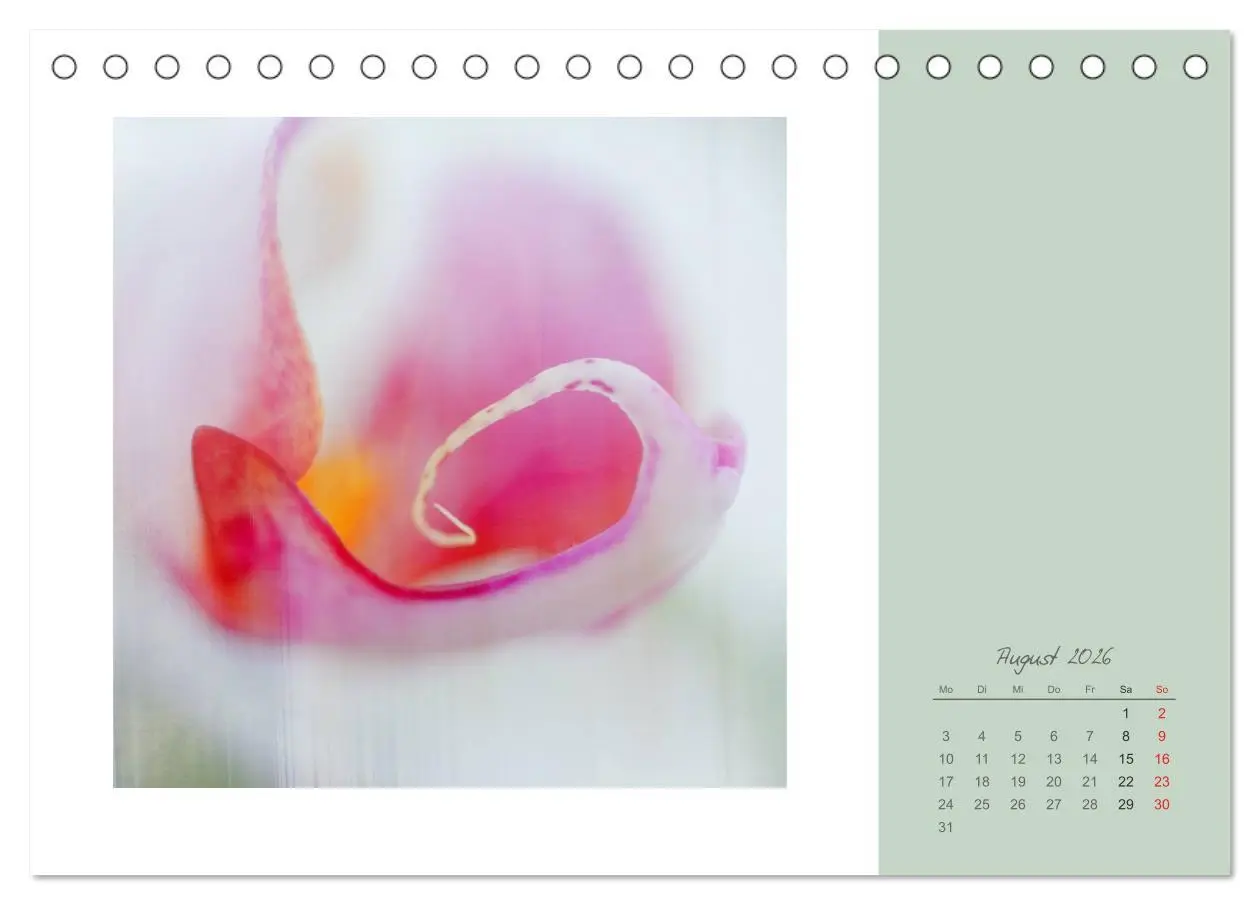 Bild: 9783516202540 | Blütenträume (Tischkalender 2026 DIN A5 quer), CALVENDO Monatskalender