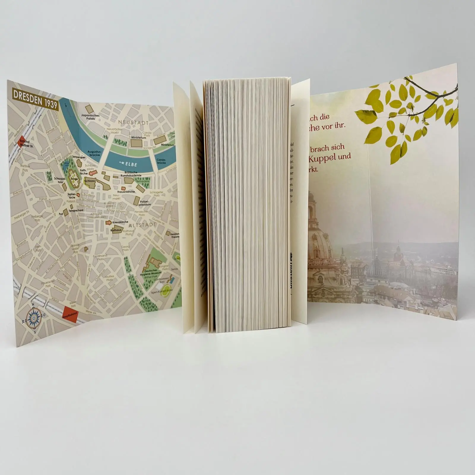 Bild: 9783864932540 | Schicksalsjahre. Die Frauen vom Neumarkt | Julie Heiland | Taschenbuch