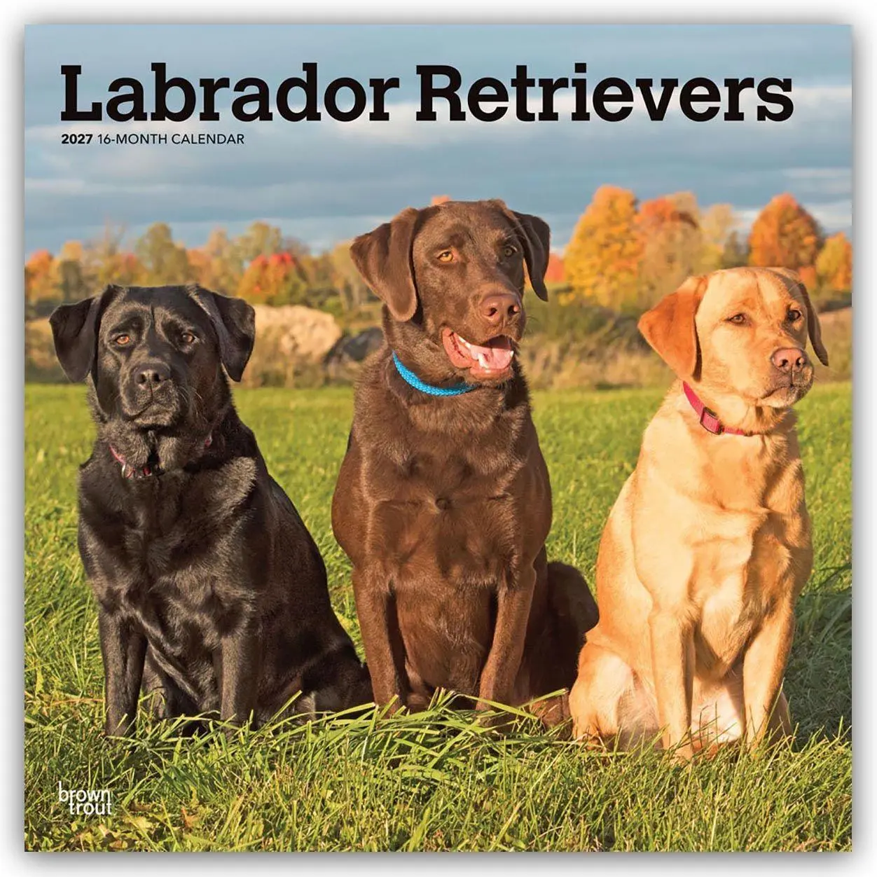 Cover: 9798330712540 | Labrador Retrievers - Labrador Retriever 2027 - 16-Monatskalender