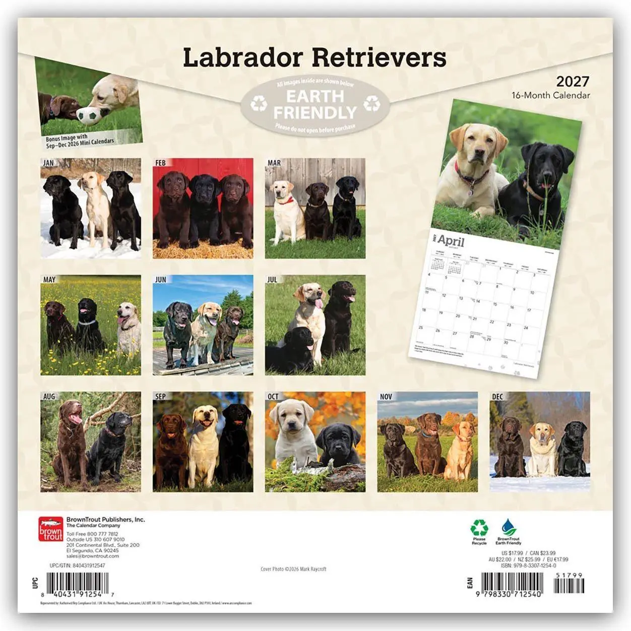 Rückseite: 9798330712540 | Labrador Retrievers - Labrador Retriever 2027 - 16-Monatskalender