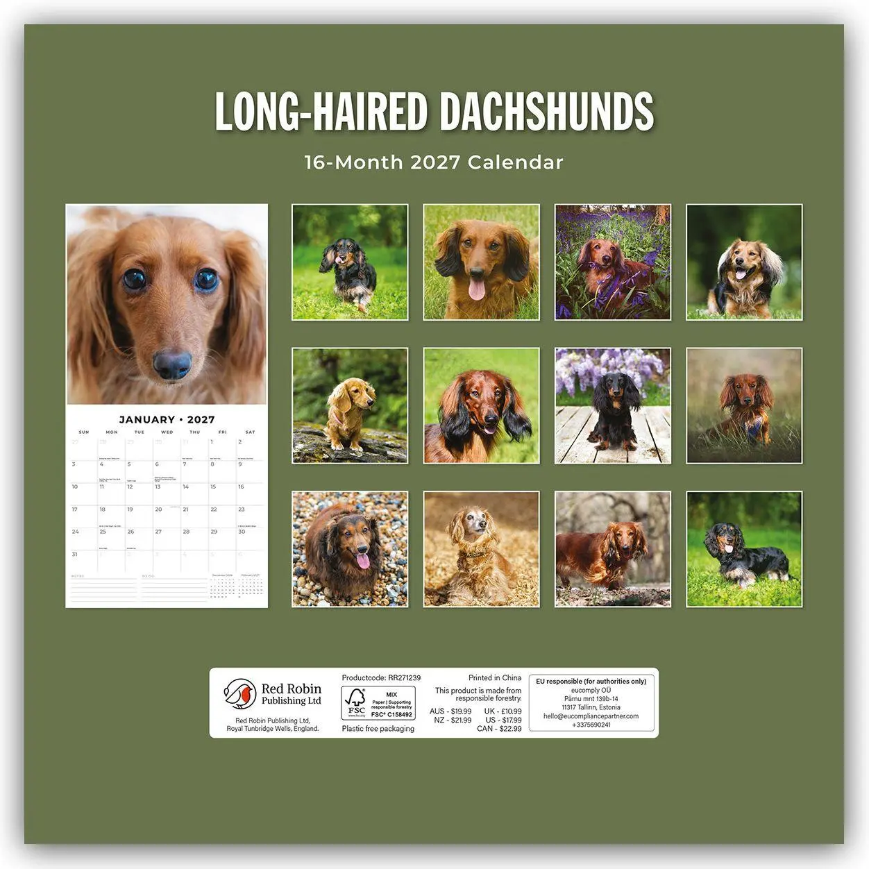 Bild: 9781837012640 | Long-Haired Dachshunds - Langhaardackel 2027 - 16-Monatskalender | Red