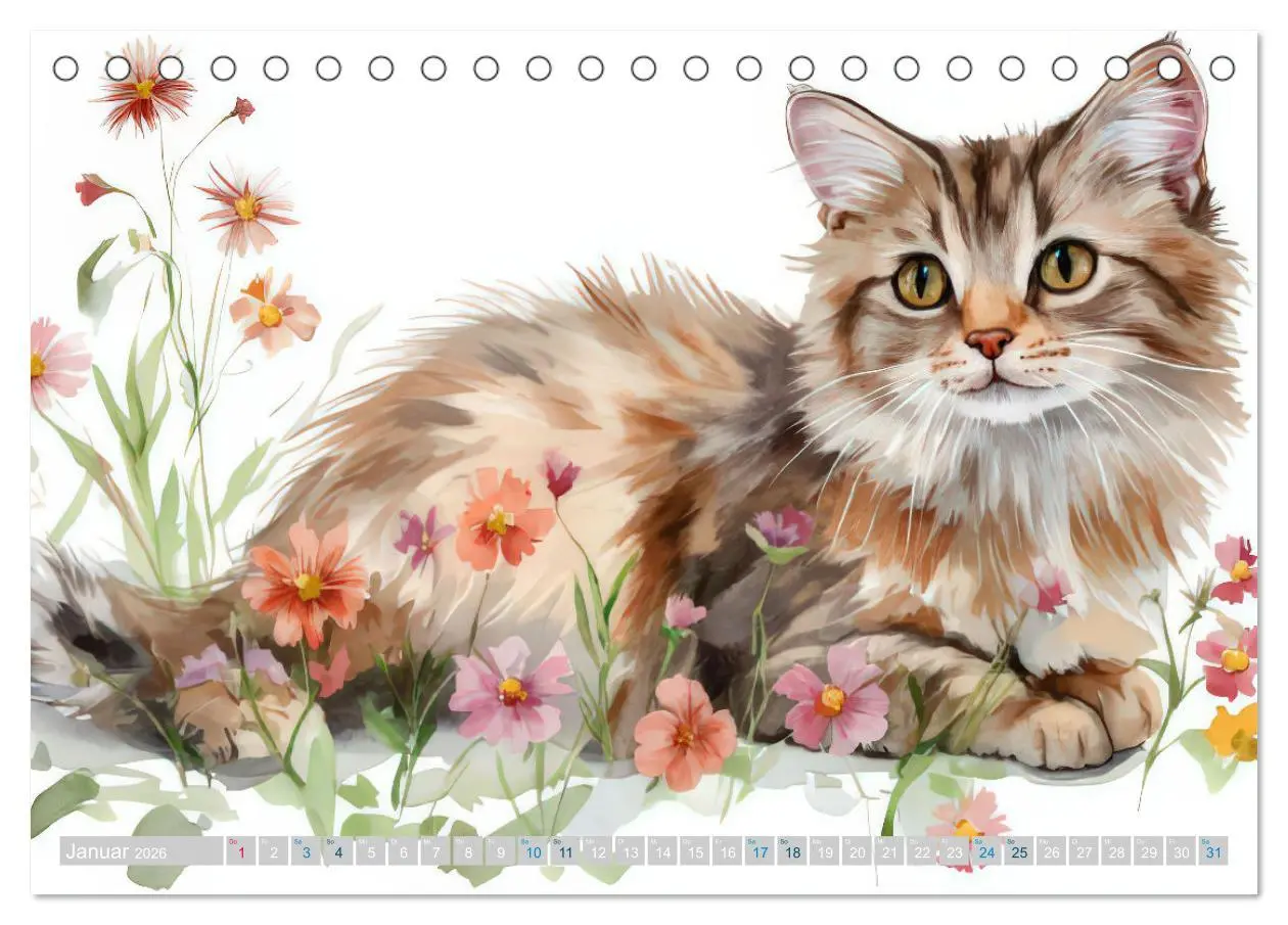Bild: 9783457262740 | Katzensymphonie in Aquarell (Tischkalender 2026 DIN A5 quer),...