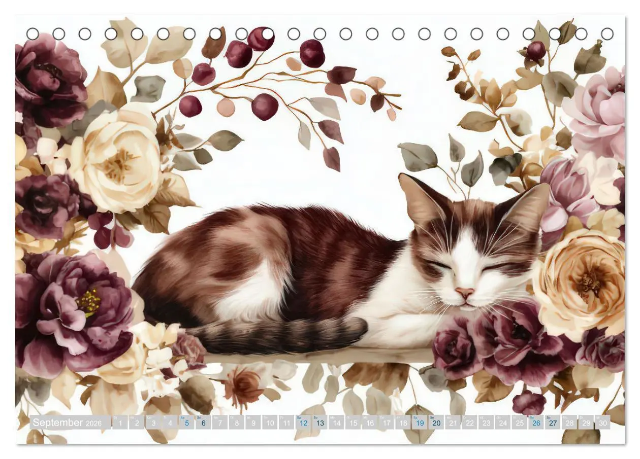 Bild: 9783457262740 | Katzensymphonie in Aquarell (Tischkalender 2026 DIN A5 quer),...
