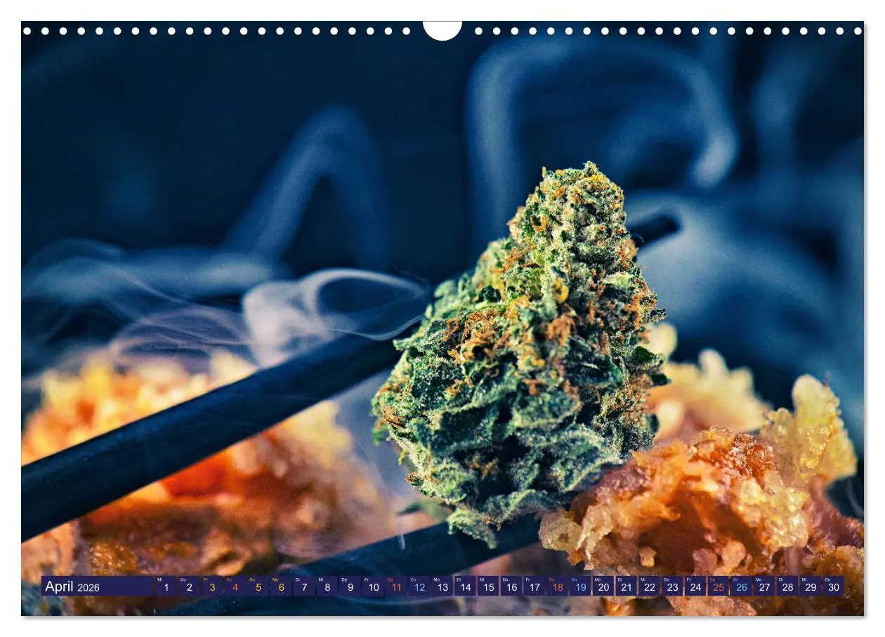 Bild: 9783457402740 | Faszination Cannabis (Wandkalender 2026 DIN A3 quer), CALVENDO...
