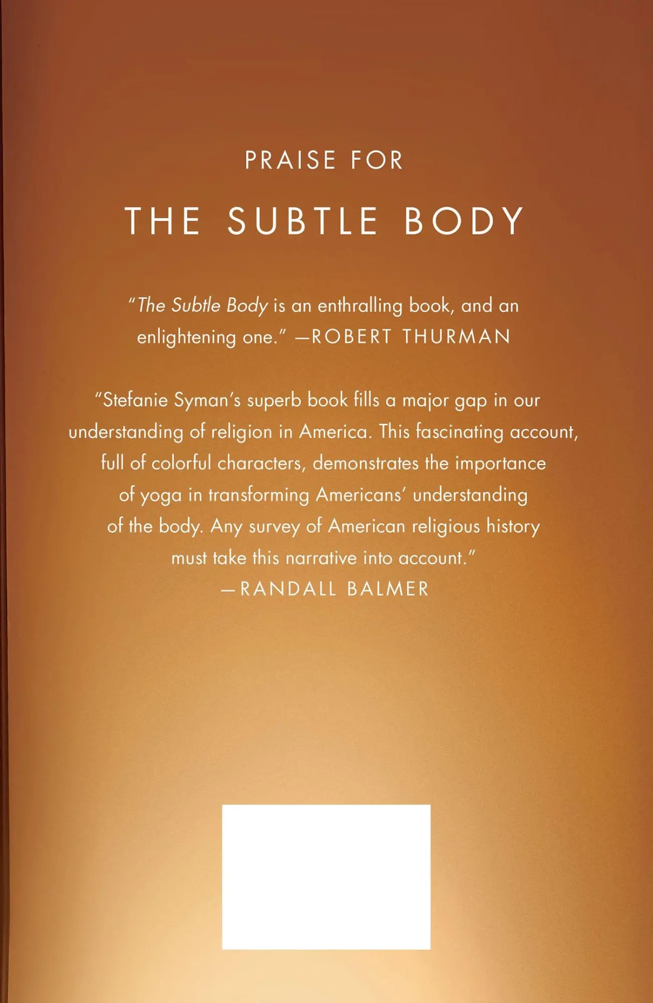 Rückseite: 9780374532840 | The Subtle Body | The Story of Yoga in America | Stefanie Syman | Buch