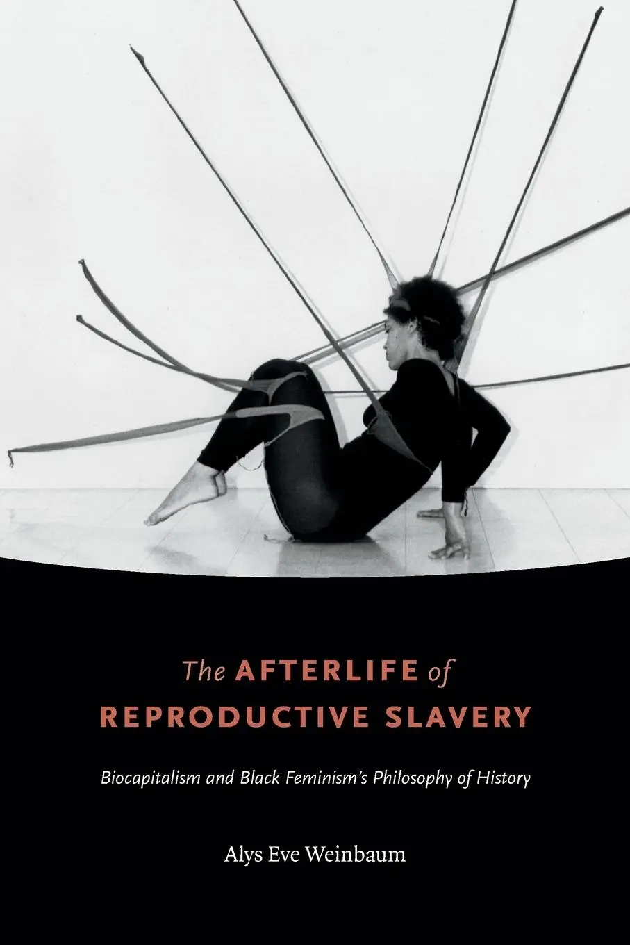 Cover: 9781478002840 | The Afterlife of Reproductive Slavery | Alys Eve Weinbaum | Buch