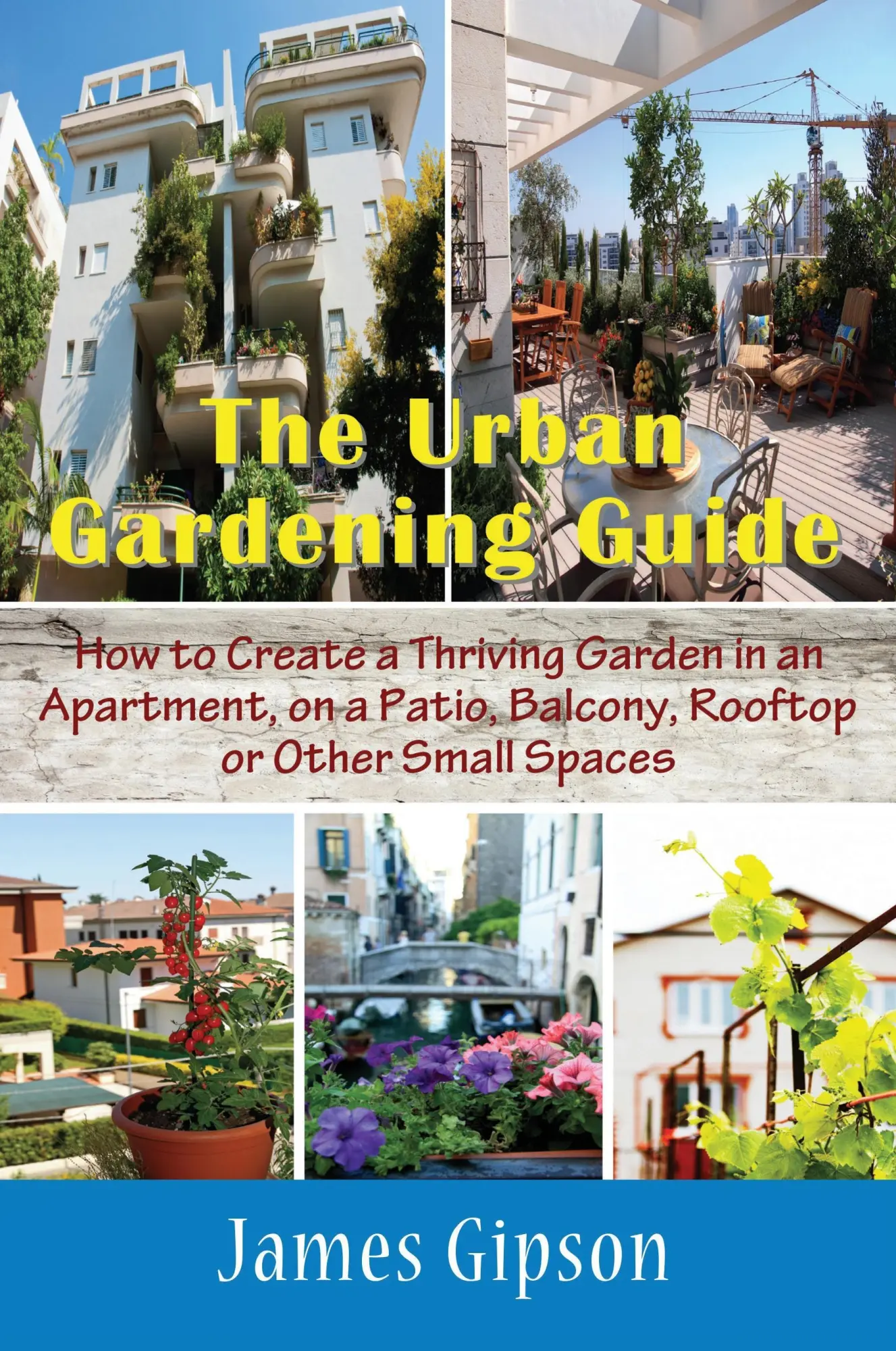 Cover: 9781634282840 | The Urban Gardening Guide | James Gipson | Taschenbuch | Englisch