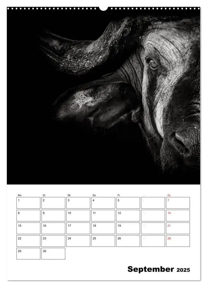 Bild: 9783457012840 | Charakterköpfe aus der Welt der Tiere (Wandkalender 2025 DIN A2...