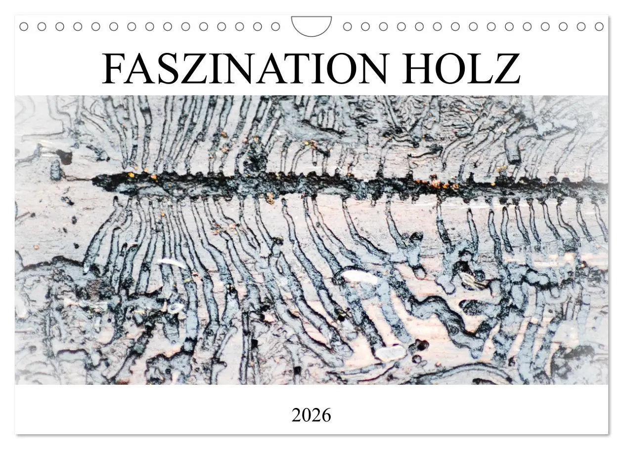 Cover: 9783457632840 | Faszination Holz (Wandkalender 2026 DIN A4 quer), CALVENDO...