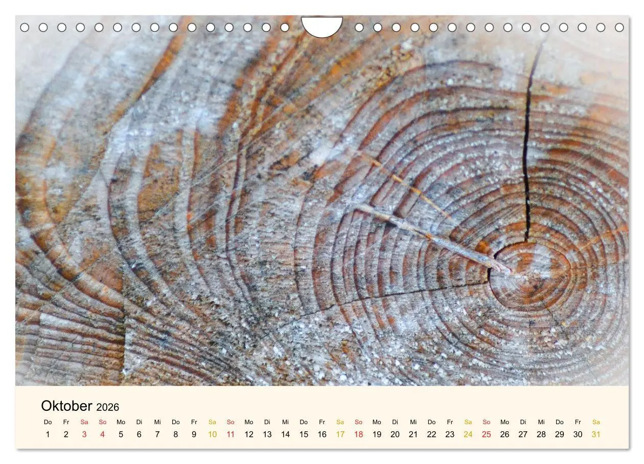 Bild: 9783457632840 | Faszination Holz (Wandkalender 2026 DIN A4 quer), CALVENDO...