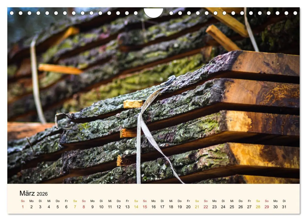 Bild: 9783457632840 | Faszination Holz (Wandkalender 2026 DIN A4 quer), CALVENDO...