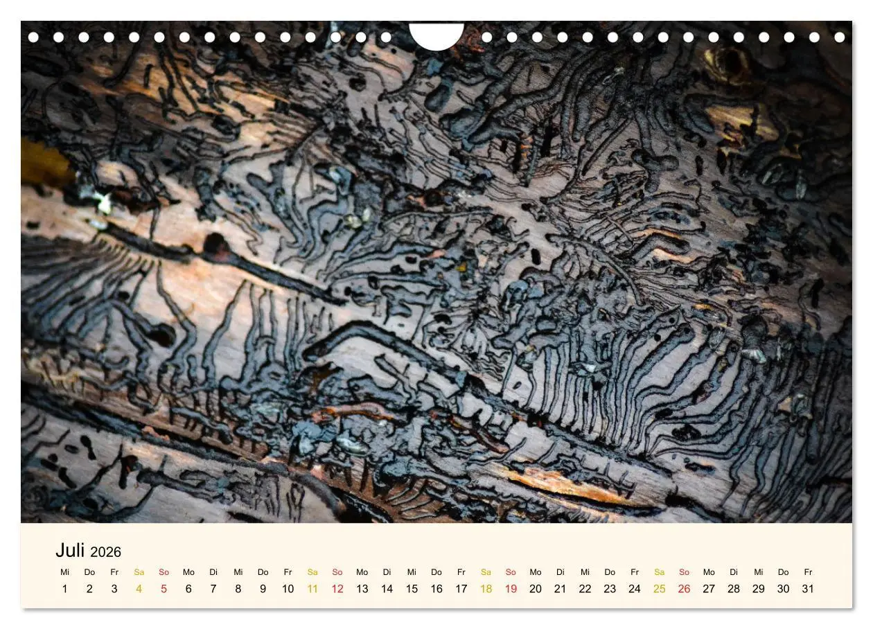 Bild: 9783457632840 | Faszination Holz (Wandkalender 2026 DIN A4 quer), CALVENDO...
