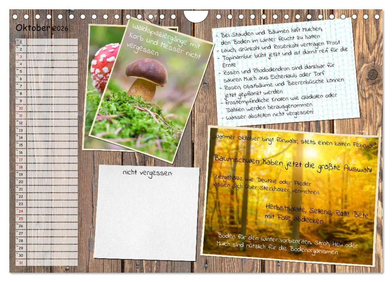 Bild: 9783457702840 | Was ist noch im Garten zu tun? (Wandkalender 2026 DIN A4 quer),...